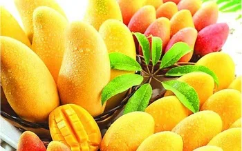 
Organic Fresh Mangos Available at wholesale prices 