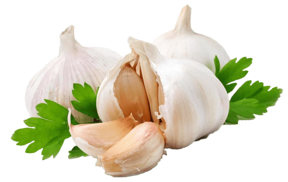 Garlic Extract Allium Sativum Seed Powder Herbal Extract Cool Dry Place Solvent Extraction Light Yellow Brown Food SVA-AS 022