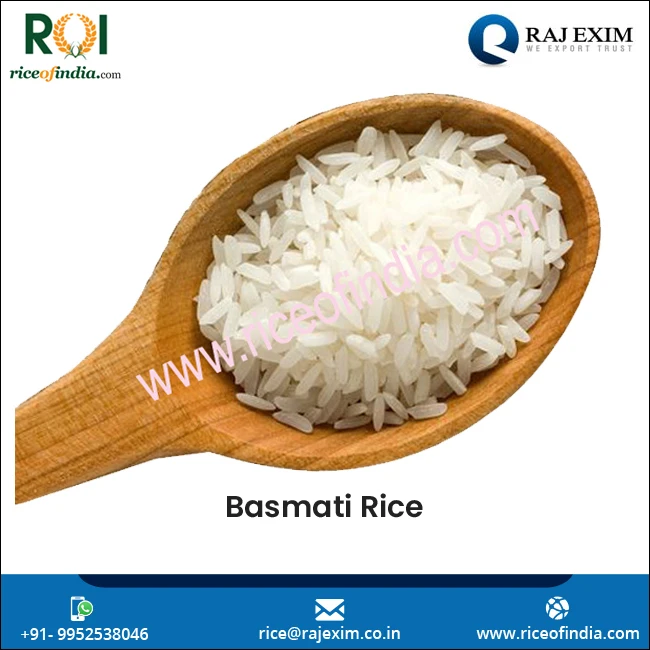 
Bulk Supply Indian White Basmati Rice 1121 at Reasonable Price 