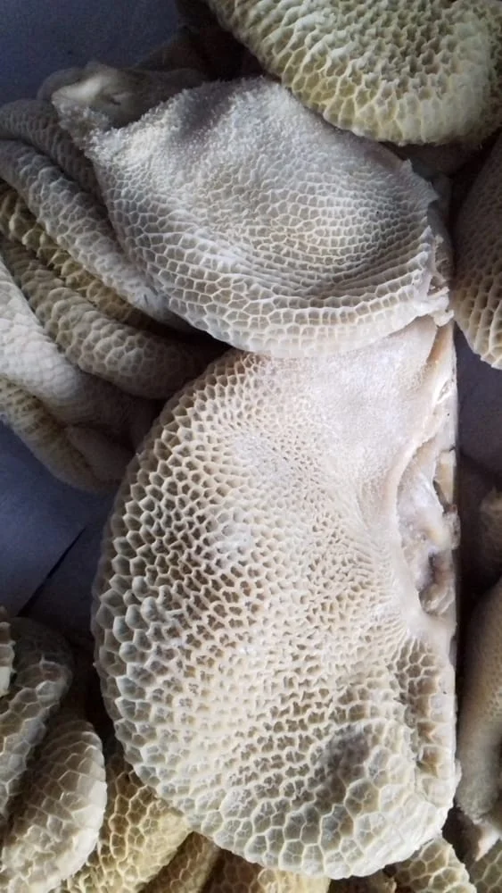 Beef Honeycomb Frozen Honeycomb , Buy Beef Frozen Honeycomb