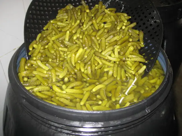 
GHERKINS / CORNICHONS IN ACETIC ACID 