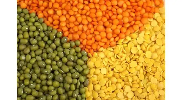 Quality Red Lentils, Green Lentils, Yellow Lentils 2021 Crop Year