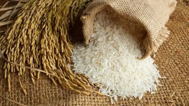 1121 White cremy Sella Rice