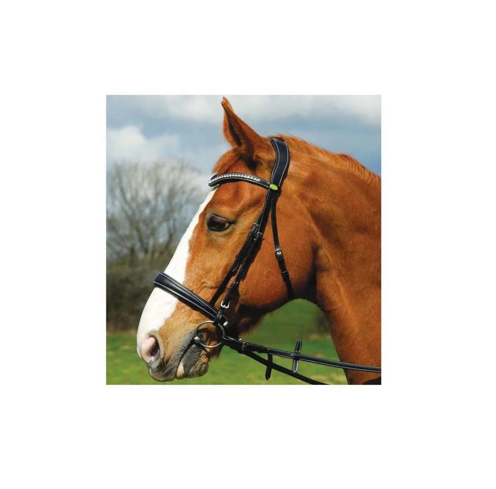 Кожаная уздечка на высококачественной индийской коже с пряжками SS Коровья мягкая подкладка коленчатая