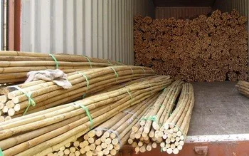 STRAIGHT MOSO BEAUTIFUL RAW BAMBOO POLES (WHATSAPP +84 845 639 639)