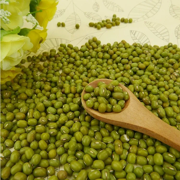 
organic green mung bean/ mung bean starch// Ms Annie /WHATSAPP +84 396986490 