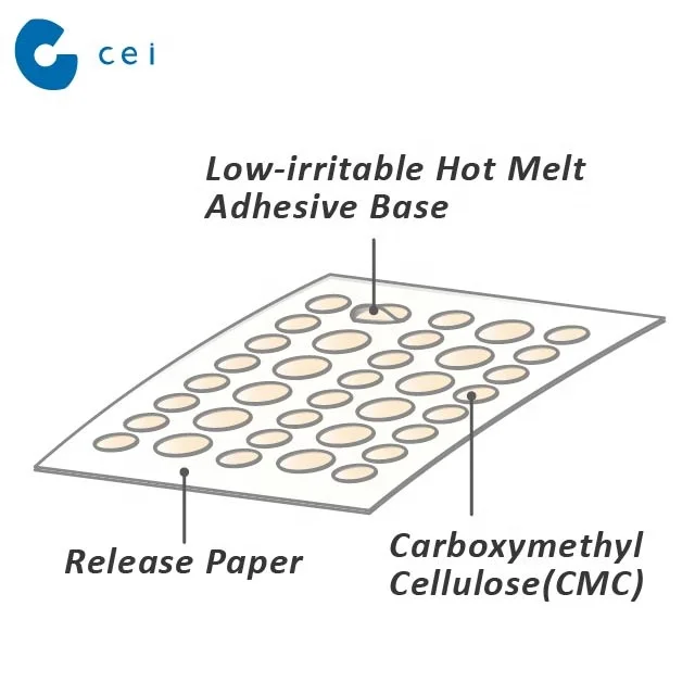 2021 Best Acne Patch Hydrocolloid Wound Dressing Acne Spot Treatment Acne Pads