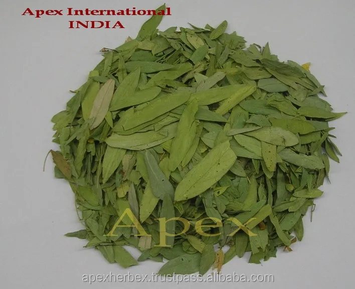 
Senna Leaves T Cut and powder 