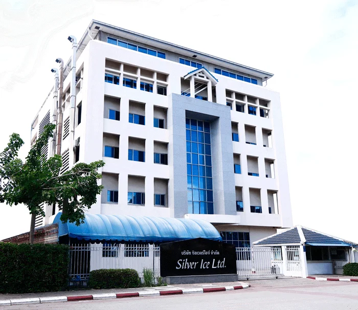 925 Sterling Silver Polished Twin Dolphins Toe Ring