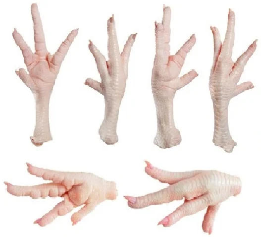 Factory Price Frozen Chicken Feet/Paws from Brazil for sale