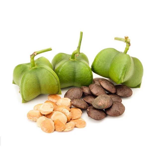 Sacha Inchi Seeds Wholesale - Inca Peanut - Peru Sacha Inchi