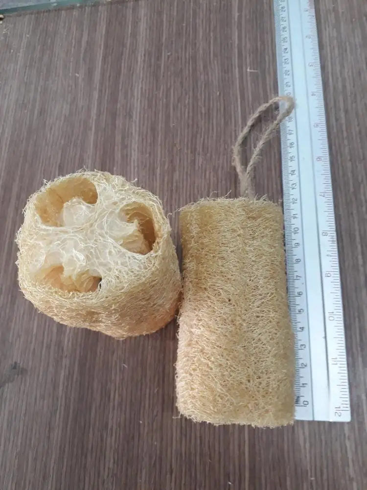 Hot Sale LOOFAH/LUFFA Bath Brushes High Quality Silicone Mesh Body Scrubbers Eco-Certified Lightweight from Vietnam