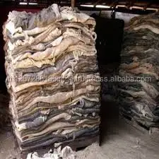 
wet salted cow hide 
