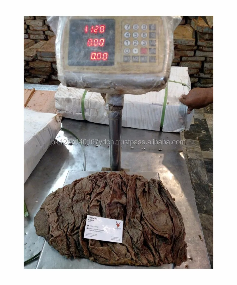 
Salted Dried Omasum - Omasum Buffalo Dried Salted - A Grade Salted Buffalo Beef Omasum 