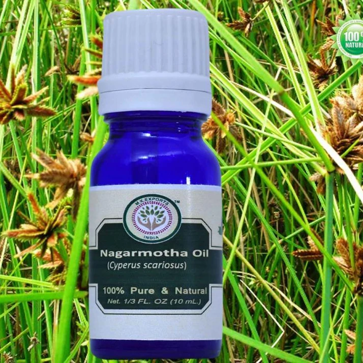Wholesale Price Cypriol/Nagarmotha Essential Oil