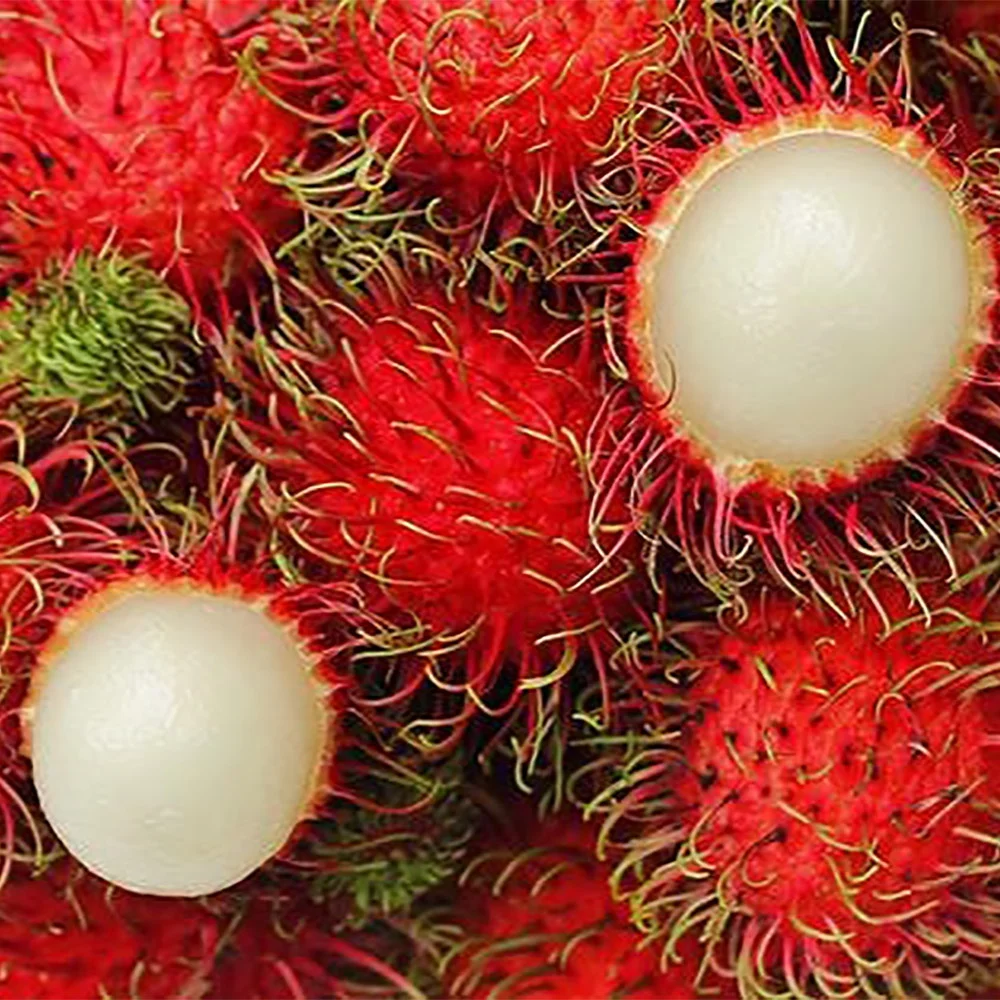 IQF RAMBUTAN WHOLE HALF-PEELED FROM BRC FACTORY IN VIETNAM