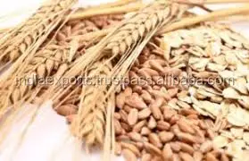  Индийская Пшеница отличного качества для