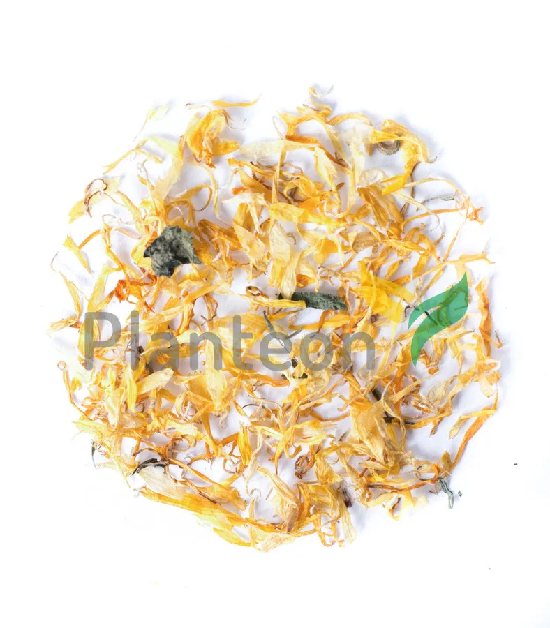 Marigold flower - Calendula officinalis