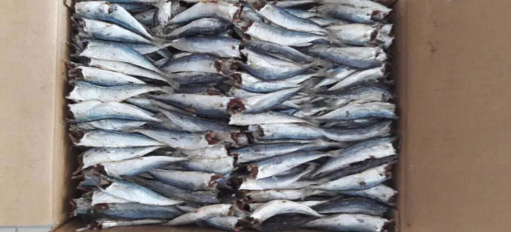 
Dried Mackerel Fish BODY BRC Piece Vacuum Pack Southern Puffer 