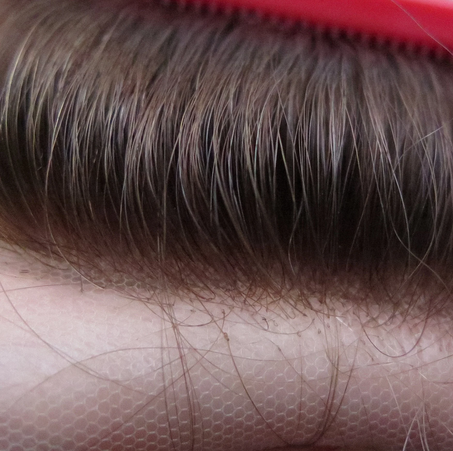 Indian Human Hair Toupee for men, Real Hair Natural Swiss Lace Women/Men Toupee