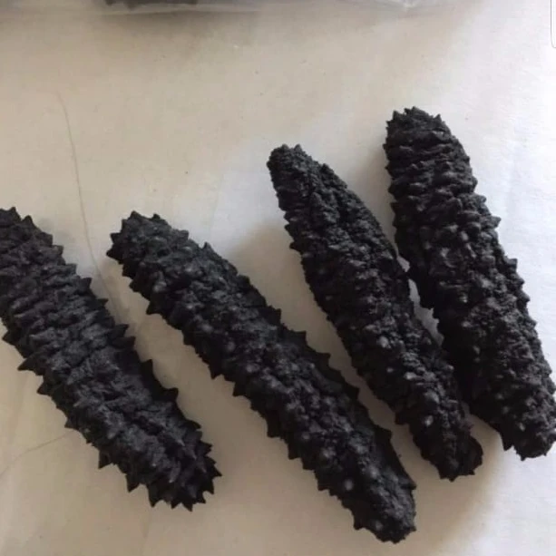 HIGH QUALITY DRIED SEA CUCUMBER -WHITE TEAT FISH- BLACK PRICKLY FISH