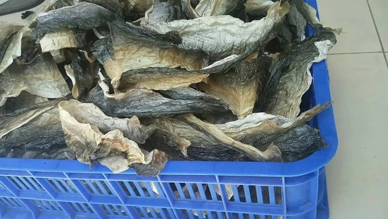 
DRIED BASA FISH SKIN/ FISH SKIN FOR COLLAGEN INDUSTRIAL// Ms.Cherry + 84 975 975 103 