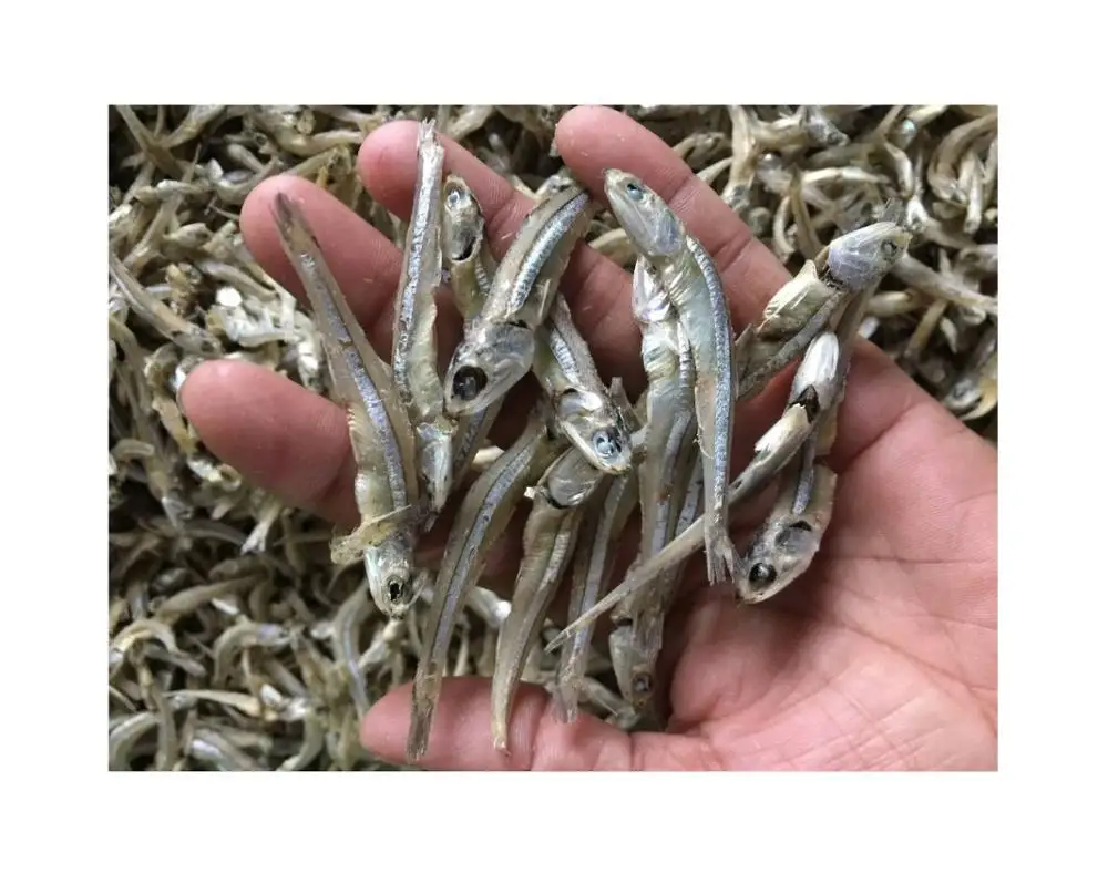 100% Natural Dried Fish Anchovy Best Price From Vietnam