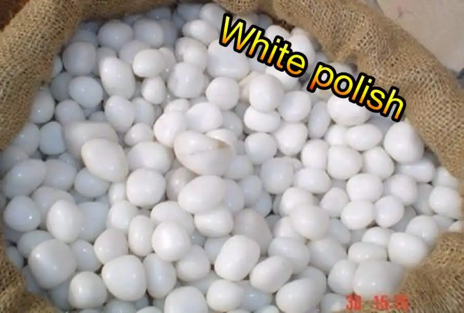 Small white pebble For fountain decoration stone pebbles wholesaler in India  luxury white round pebble stone financial