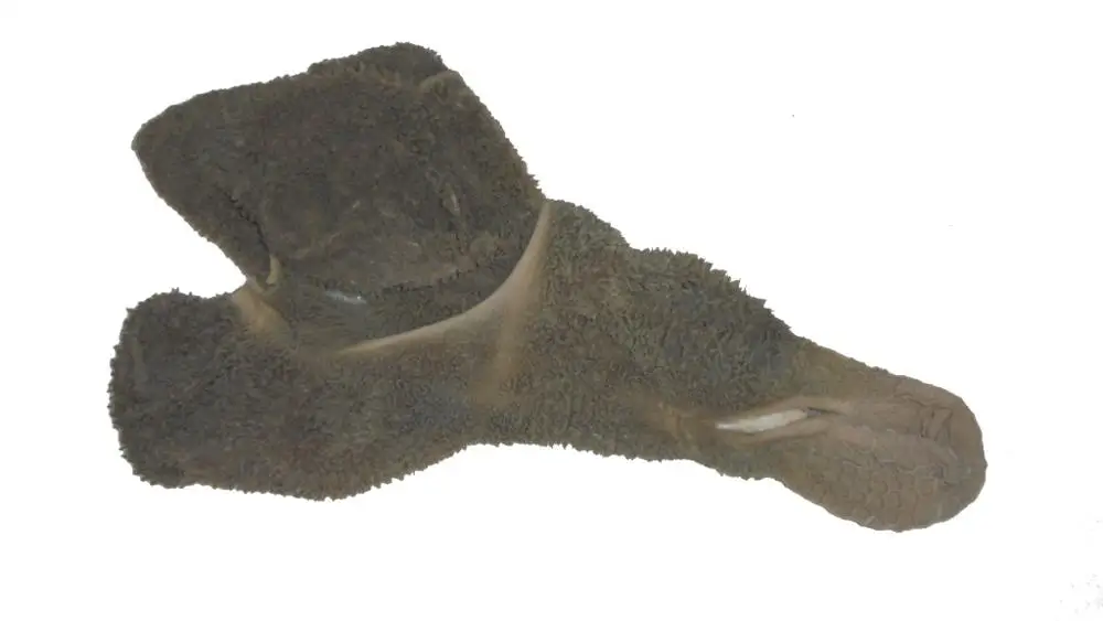 
FROZEN LAMB GREEN TRIPES 