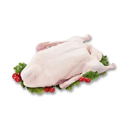 Замороженные ножки утки, лапы, голова, шея, гизкарды