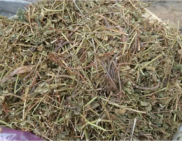 PASSIONFLOWER EXTRACT (Whatsapp: +84 845 639 639)
