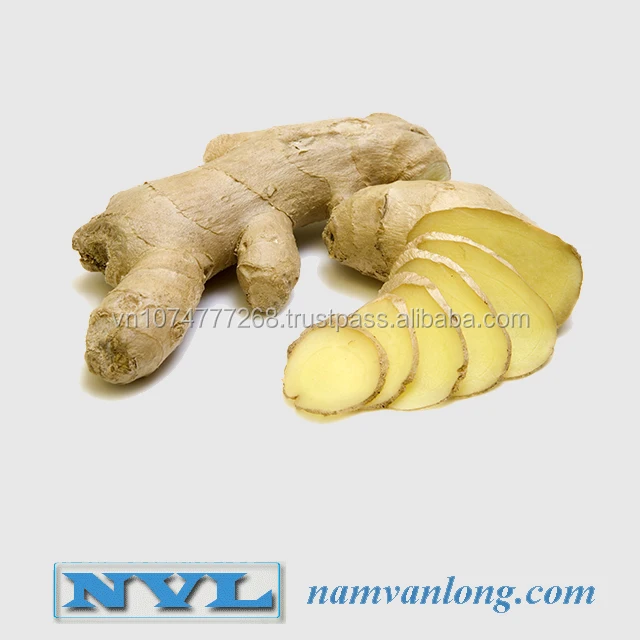  Поставка свежего имбиря/замороженного имбиря по лучшей цене