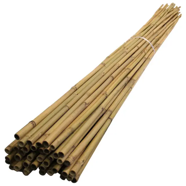 wholesale for Cheap Natural Dry Raw Bamboo Poles/Sticks/Canes