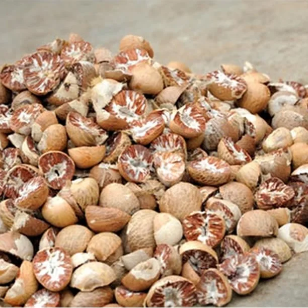 Betel Nuts WHOLE 60-65% good whole, well dried