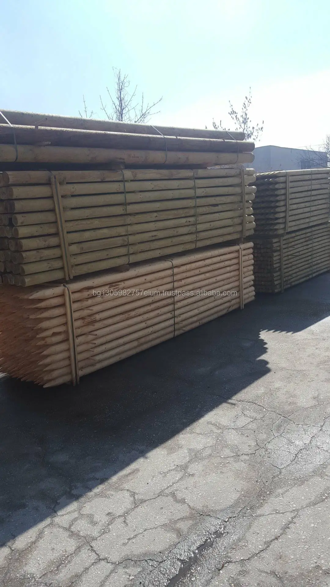 Sharp Point Wood Utility Poles coniferous, lathed and impregnated by high pressure vacuum