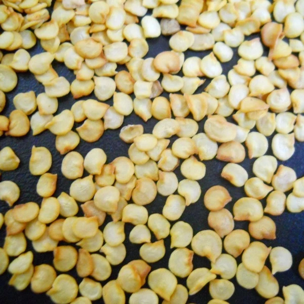 Export Quality Red Chilli Seeds Suppliers in India