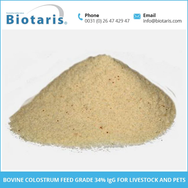 
Healthy Quality Pure Goat Colostrum Milk Powder with 34% IgG from Reputed Supplier 