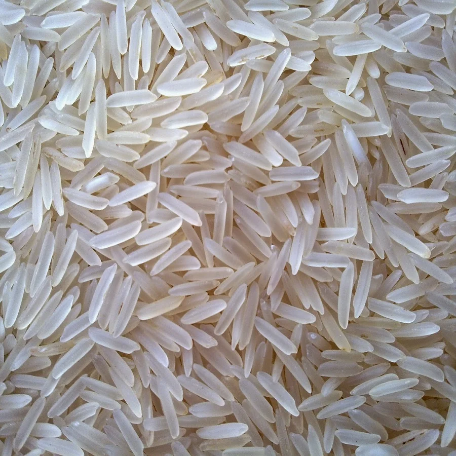 world best rice exports prices from India long grain parboiled white sella raw rice broken 5% 25% 100%