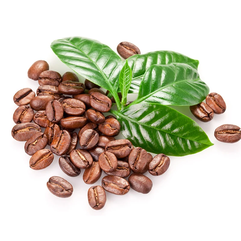 
High Quality Coffee Beans From Arabia Wholesale 