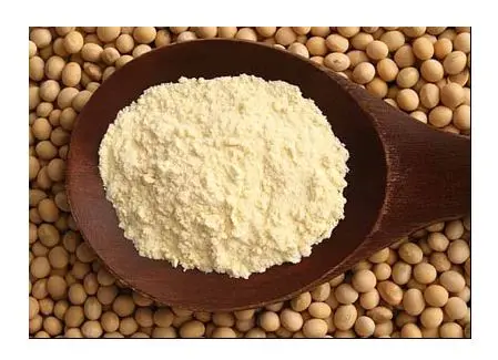 SOYBEAN POWDER/ SOYBEAN/ FROM VIETNAM EXPORT