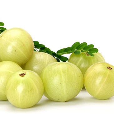 Индийская гусиная ягода Amla