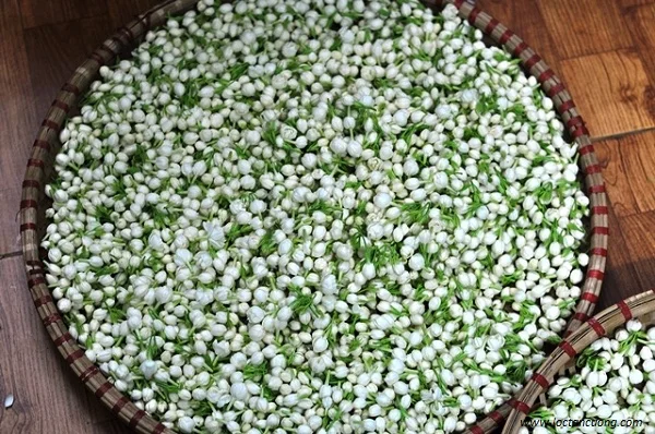 Чай с цветочным ароматом жасминовый чай ароматизированные и вкусные сушеные жасминовые бутоны