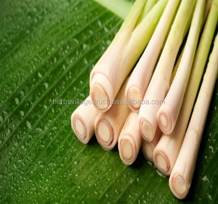 Лидер продаж, высокое качество, конкурентоспособная цена, сушеный Лемонграсс, лимонная трава