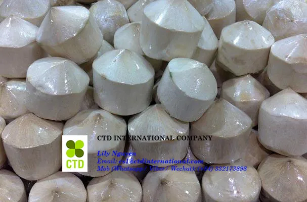 
FRESH GREEN COCONUT_VIETNAM 