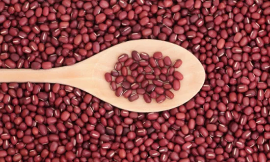 RED BEANS HIGH QUALITY FROM VIETNAM 2021/Whatsapp +84 845 639 639