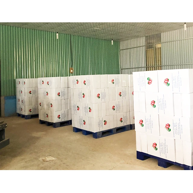 COMPETITIVE PRICE CASHEW NUTS FROM VIET NAM