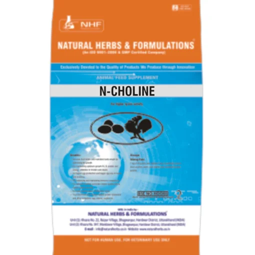 Natural Choline for broilers