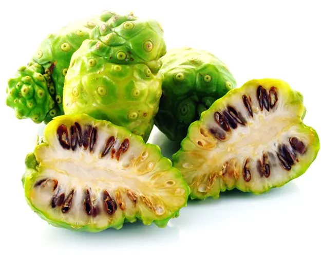 Organic Vietnam Dried Noni Fruit/ ( Ms Holiday)