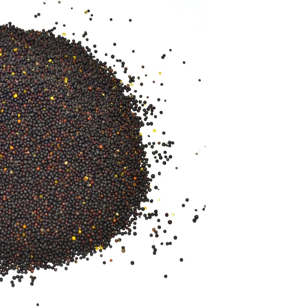 Семена изнасилования, черные рапсы