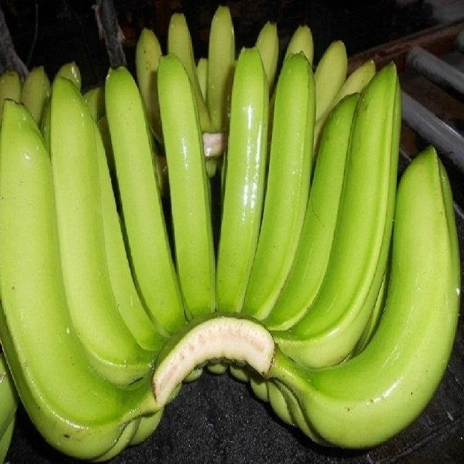green cavendish bananas